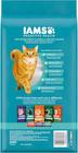 Iams Proactive Health Adult Indoor Weight   Hairball Care Dry Cat Food With Salm