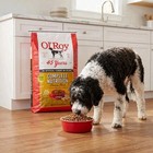 2 Pack Ol  Roy Complete Nutrition Chicken Flavor Dry Dog Food 46 Lb Bag