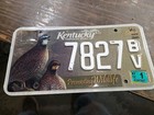 Kentucky License Plate With Turkey Unbridled Spirit Promoting Wildlife