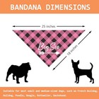 Big Sis Dog Bandanas Baby Announcement Gender Reveal Puppy Bandana Triangle 