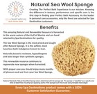  Natural Sea Wool Sponges By Spa Destinations  choose Size 