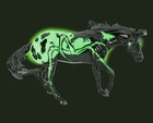 Breyer New   Arachne   Glossy Halloween 2025 Bobbie Jo Traditional Model Horse
