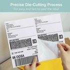 1000 Blank Label 8 5x 5 5  Half Sheet Shipping Labels Self Adhesive 2 Per Sheet