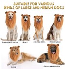 Dog Lion Mane   Tail Costume Pet Wig For Small  Medium  Large Dogs A0185