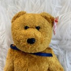 Ty The Beanie Babies Collection 1998-1999 The Original    fuzz    Bear Tag Errors