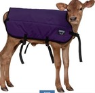 Calf Blanket - Size Small Multiple Colors 26 x25 