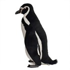 Canal Hansa Humboldt Penguin 66 Realistic Animal Stuffed Toy