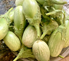  30 Indian Green Eggplant Fresh Organic  Seeds   Eggplant Seeds 
