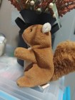 Ty Beanie Baby Nuts The Squirl     retire Plush Tag Error  
