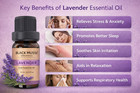 Lavender Essential Oil- 100  Pure Premium Grade  Undiluted  Natural  Therapeutic
