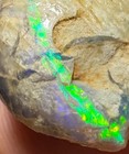  watch Video  Opal Clam Fossil Shell Lightning Ridge Australia Opalized Gem