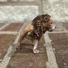 Retired Schleich Wild Life Young Lion With Paw Up Figure - Great Condition