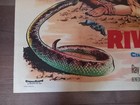 The River s Edge 1957 British Quad Poster Ray Milland Anthony Quinn Debra Paget