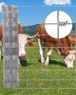 4ft X 328ft Farm Fence  15 Gauge Grid  Sheep Goat Hog Horse Protection Fencing