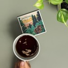Great Smoky Mountains National Park  Explorer Series  absorbent Single Coaster