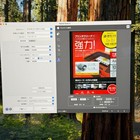 Epson Gt-x970 V750 Pro Flatbed Ccd Film Scanner 6400dpi Tested Working Japan