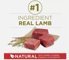 Purina One Smartblend Lamb   Rice Dry Dog Food 40-lb