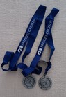 Lot 2 New Princess Cruise Line  winner  Medal Medallion W sea Witch Logo 