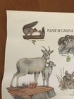 Vtg 1989 Smokey The Bear Poster 30  X 20  Please Be Careful With The Future