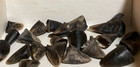 22 Deer Hoof Dew Claws-kentucky Cheroots Tobacc0 Box-native American Crafts