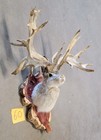 New Jackalope Mount taxidermy deer Mount antlers craft hunting art fishing gift