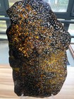 Meteorite 700 Grams Sericho Pallasite Meteorite Slice