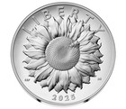 2025 P Silver Medal American Liberty 1oz