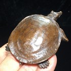 275g Handmade Copper Soft-shelled Turtle Figurine  Vintage Metal Mini Statue