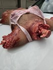 Extremely Rare Ghostride Ride Productions Female Torso Halloween Prop