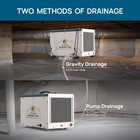 Argendon 120 Ppd Commercial Dehumidifiers With Pump   Drain Hose For Crawlspace