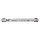 Arturia Astrolab Avant Garde 61 Note Stage Keyboard  white  Pro