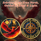 Phoenix 1-65 Years Custom Sobriety Coin Narcotics Anonymous Medallion Sober Gift