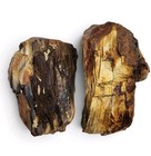 Petrified Wood Rough Specimens 316 4 Grams  2 Piece Lot