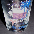 Vintage - Florida  - Souvenir Shot Glass  - Rare - Collectible
