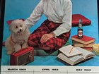 Dr Pepper 1965 Bottlers Calendar Donna Loren Distinctively Different Framed