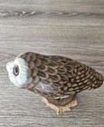 Vintage Hand Carved Painted Wood Owl On Wooden Base Figurine Glass Eyes Bird