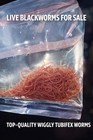         live Blackworms  100 Organic  Self-raised        