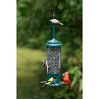 Squirrel Buster Legacy Squirrel-proof Bird Feeder With 4 Perches  2 6lb Capacity