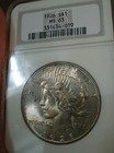 1926 P Peace Silver Dollar Ms63 Ngc  Uncirculated  1 Coin