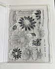 Cheerful Daisies Stamp Set   Tune In Dies     -  Stampin  Up 