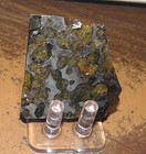 48 Gm Sericho Pallasite Meteorite Slice  f Kenya Stand Olivine  Stand