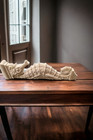 Wall Corbel Seahorse Shelf Carved Bracket  Fireplace Surround Cabinet Bracket