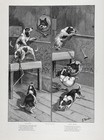 Dog Beagle Puppies Getting Into Trouble Taxidermy  1880s Antique Print   Poem