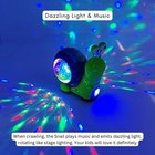 Educational Electric Lovely Toy   Math Teaching Educational Toys Pack bulk3sets 