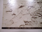 1898 Davey Photo Co  12  X 10  Cabinet Photo  203 Lava Formation  kilauea Hawaii