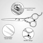 Hair Scissors Set 6 Inch Thinning Shears For Women Men And Children Silver