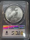 1926 Peace Dollar Pcgs Ms62   Brilliant Uncirculated Blast White Ms 62