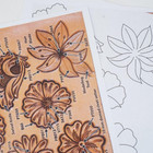 Springfield Leather Company Sheridan Style Tooling   Tracing Pattern Pack With 5