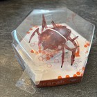Hexbug Red Scarab Micro Robotic Creature Hex Bug - New - Loc H