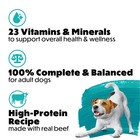 12 Pack Purina Beneful Small Breed Wet Dog Food Gravy Incredibites W  Real Beef